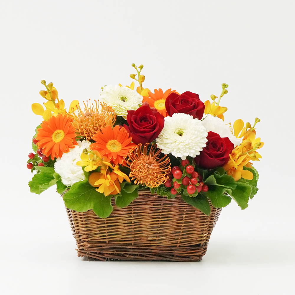 らいきブラハウス割烹着4着（くまさん、草花、ひつじさん、ガーベラ） 産地直送 ガーベラ カラフルミックス花束 （30本）／静岡 松下