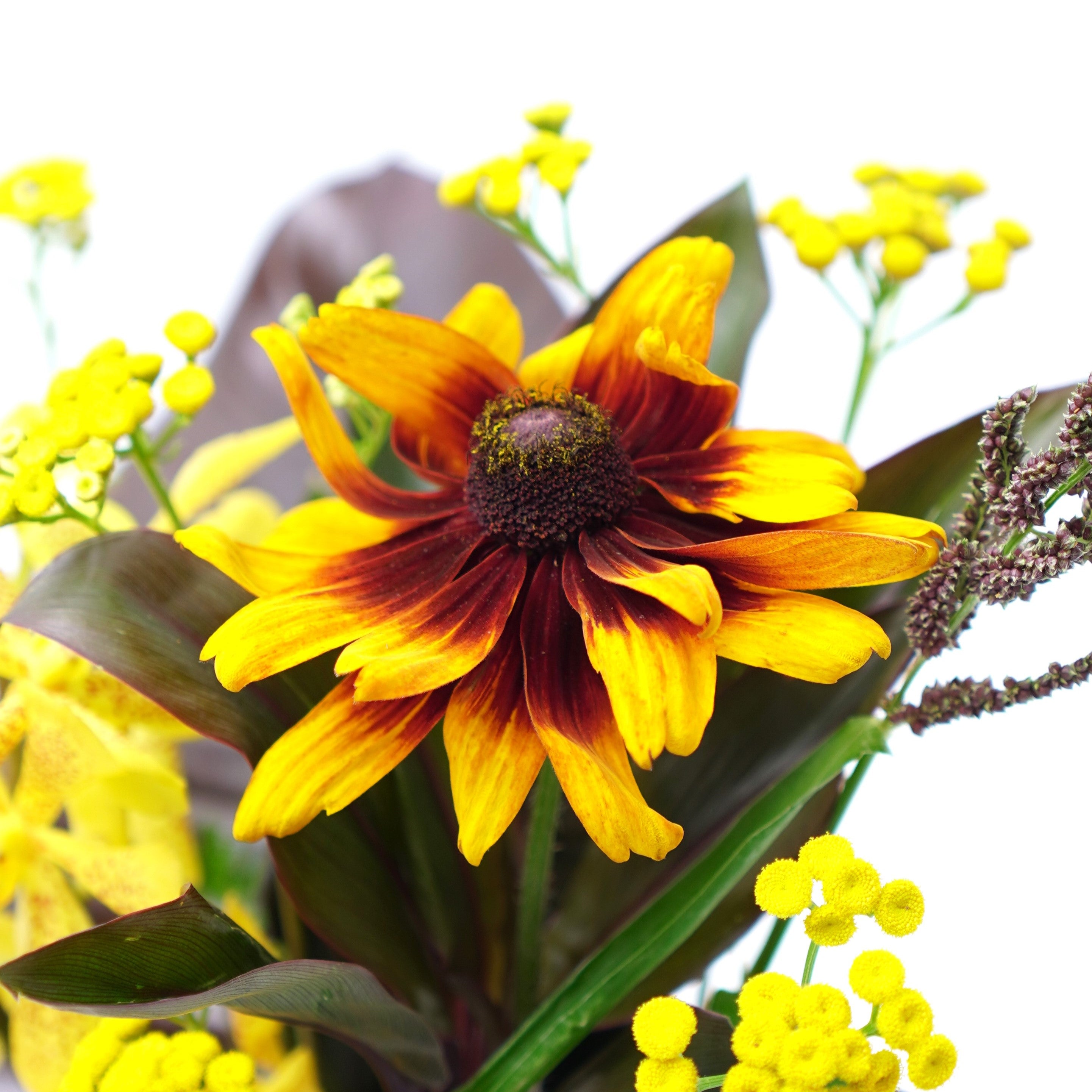 9月6日発送の定期便『黒の日・黒ヒエ フレイクチョコラータ』