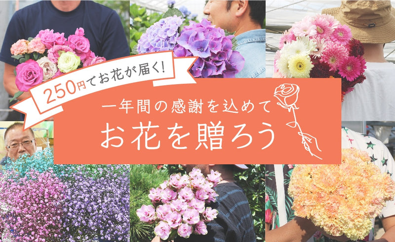 お花のつくり手を応援！250円(税/送料込)でお花をお届けするキャンペーンを開始