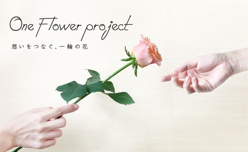 お花のつくり手を応援する、ワンフラワープロジェクト！！最高品質の一輪を￥５００（送料込み）でお届け