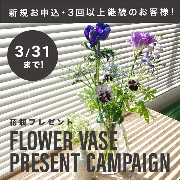 月１・隔週・毎週が選べる！その時期の旬な「良い花」に出会える定期便