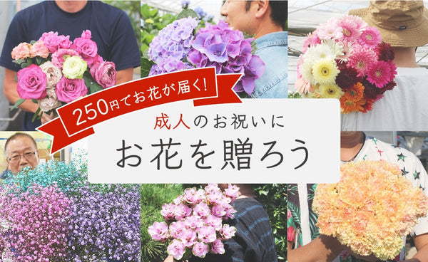 新成人をお祝いしよう！250円でお花を贈れる「新成人お祝いキャンペーン」