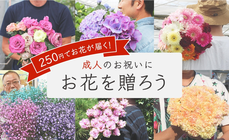 新成人をお祝いしよう！250円でお花を贈れる「新成人お祝いキャンペーン」