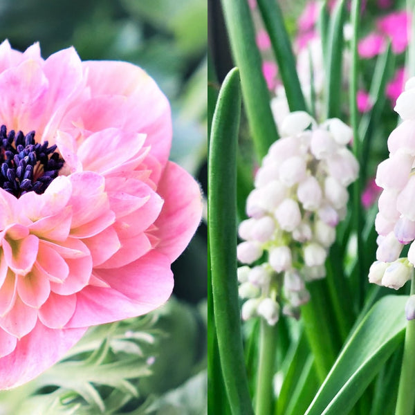 65039844a8eb9d4d678b0ccda7a415