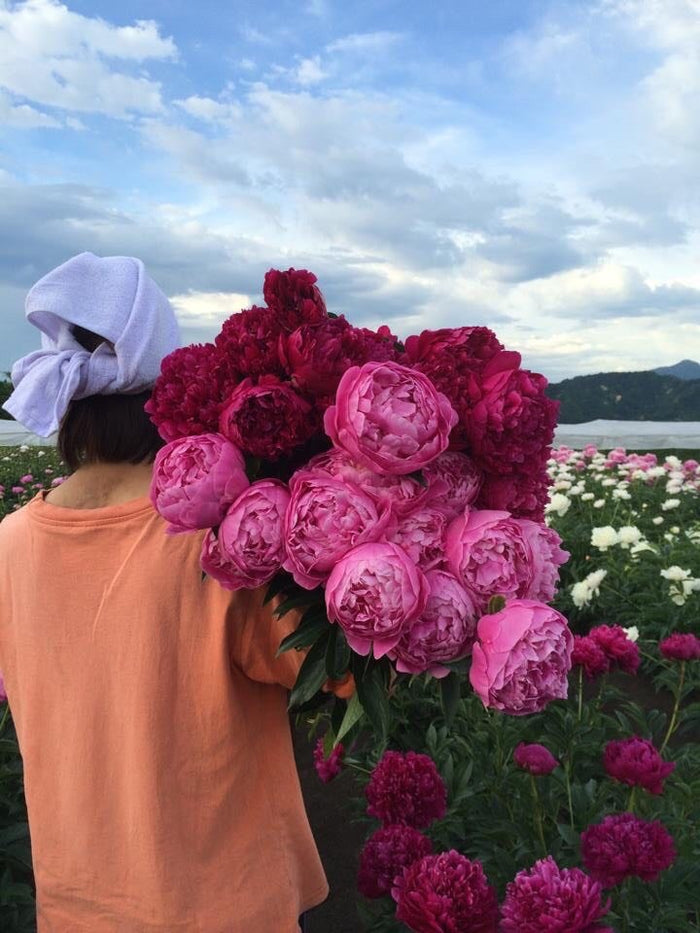 69bd9914bedb9dc5c1747d496b8827