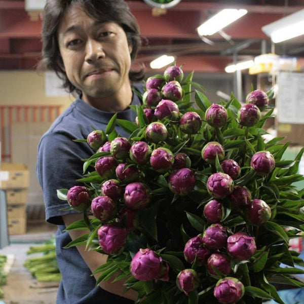 希少　ジグソーパズル　芍薬　しゃくやく　B.MOCK 2014ピース　未開封品 希少 ジグソーパズル 芍薬 しゃくやく B.MOCK 2014ピース 未開封品
