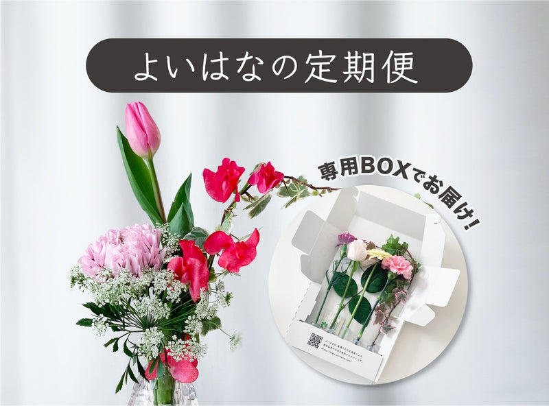 【よいはなの定期便】生産者おすすめのお花を、ご自宅にお届け。