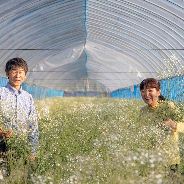 ＜お花のつくり手 応援＞福島県昭和村の「かすみ草」を飾ろう