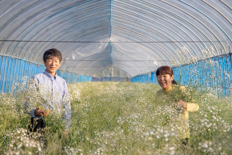 ＜お花のつくり手 応援＞福島県昭和村の「かすみ草」を飾ろう
