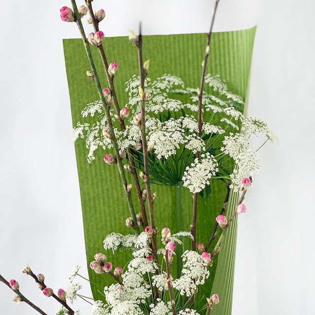 3月3日 ひな祭り・桃の節句に　桃の花 ×レースフラワーの花束を贈ろう！
