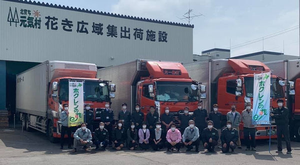 ＜お花のつくり手 応援＞北海道は北空知より「スターチス」をお届け！（JA北空知広域連）