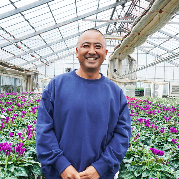 ELZA　クンシラン銘花交配４点セット テッサ×グロリア他３点 鉢花 シクラメン スクリュースター グリーンティアラ 3号 八重咲き