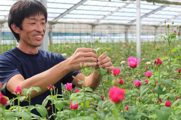 バラ10本💐 やぎバラ育種農園 ヤギグリーン・プレゼントブーケ(JA遠州夢咲）