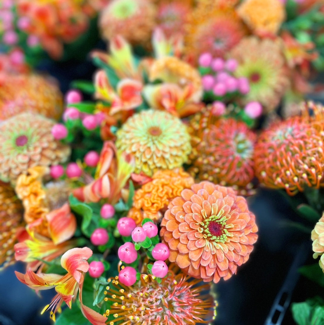 sq_07b4c8a3-d501-4f03-911c-