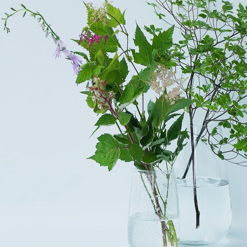 秋の草花ミックスセット　コスモス
