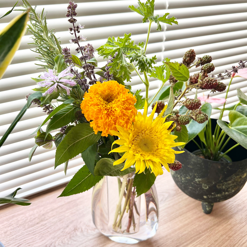 お花の定期便（定期購入）