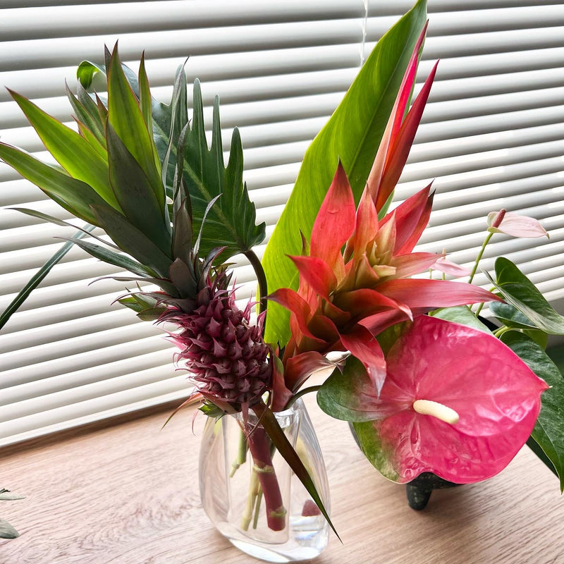 お花の定期便（定期購入）