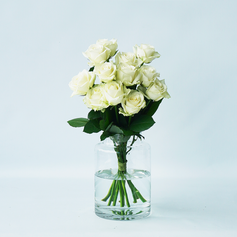 愛を誓う 白バラのダズンローズの花束