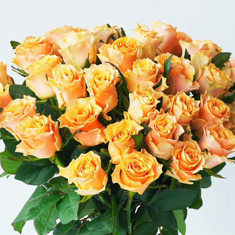愛や信頼の証に オレンジバラの40本の花束