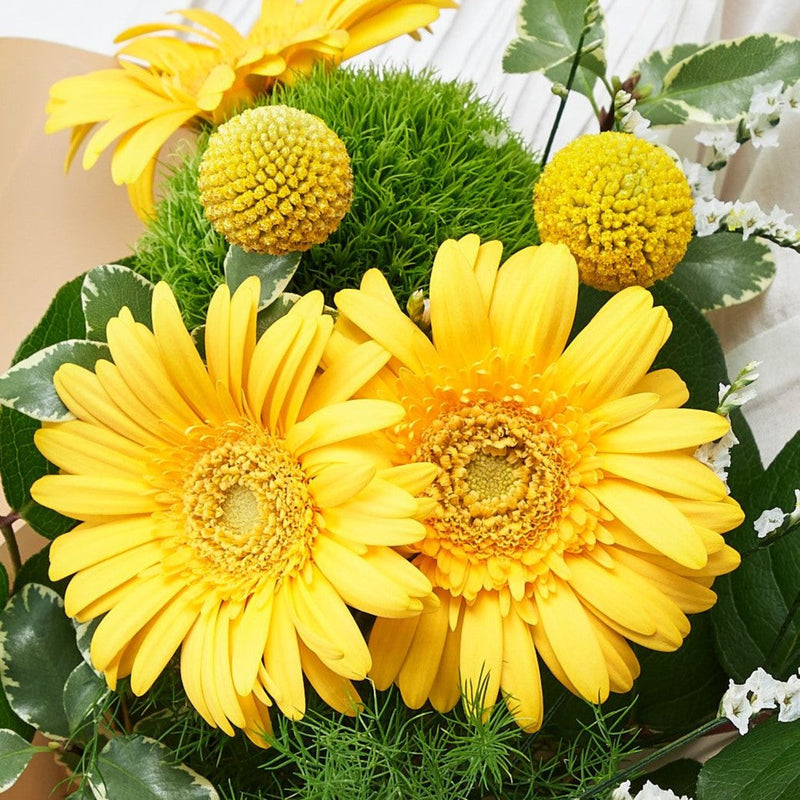 フローリストおまかせ季節の花束 XL