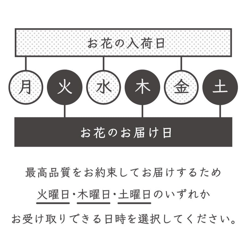 バラ  レッドエレガンス  (JAひまわり バラ部会)